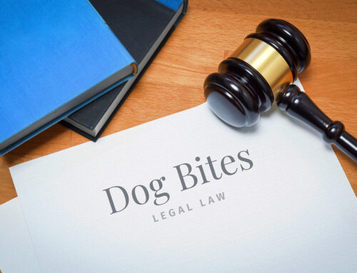 What To Do Next … How Long Do You Have to File a Dog-Bite Injury Lawsuit?